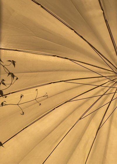 Composition - Lights by Cécile Jamet