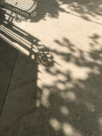 Composition - Shadows by Cécile Jamet