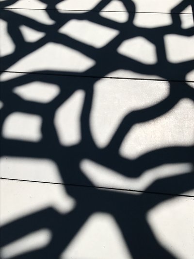 Composition - Shadows by Cécile Jamet