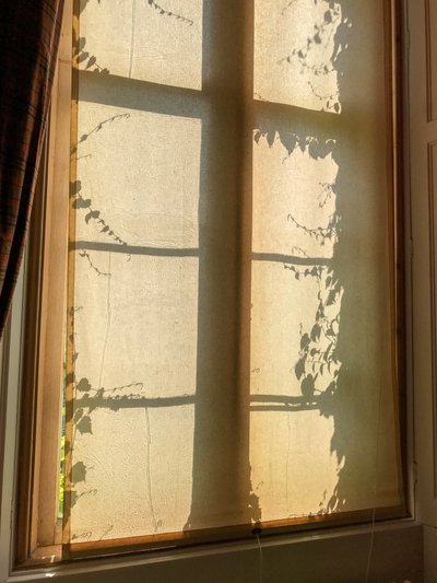 Composition - Shadows by Cécile Jamet
