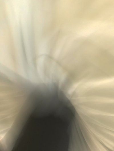 Composition by Cécile Jamet