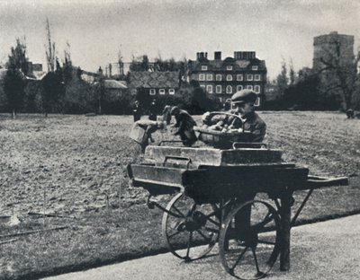 Potatoes in Kew Gardens by Cecil Beaton