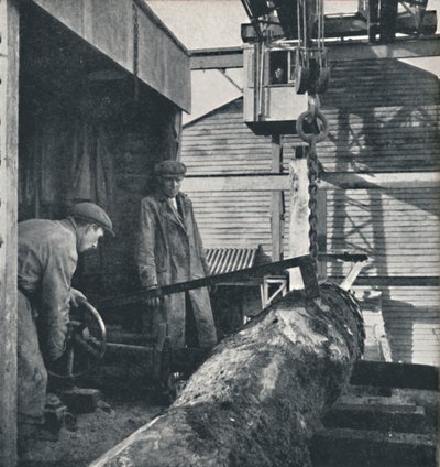 Sawing Timber by Cecil Beaton