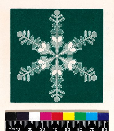 Snow Crystals by Cecilia Glaisher