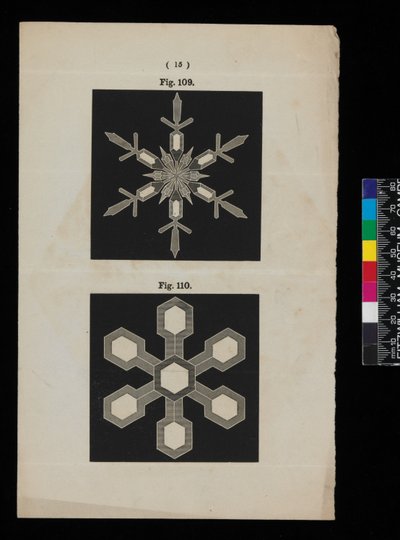 Snow Crystals by Cecilia Glaisher