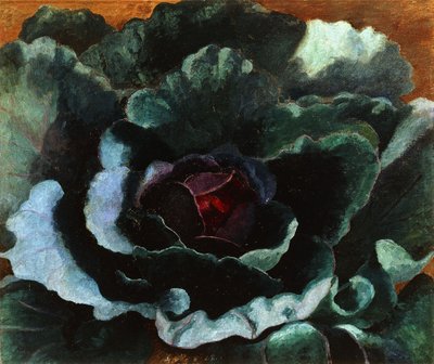 Cabbage by Cedric Morris