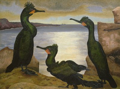 Shags by Cedric Morris
