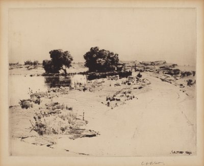 Cape Ann Willows by Charles A. Platt