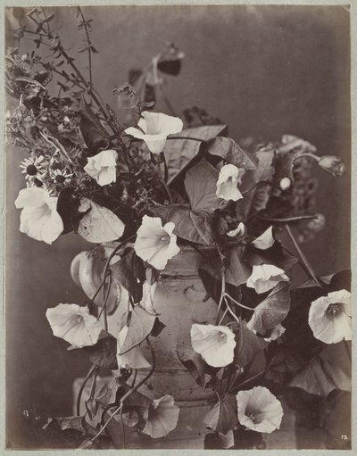 Flower Study with Cologne Pot by Charles Aubry (manner of)