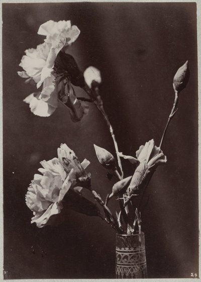 Flower Study with Glass Vase by Charles Aubry (manner of)