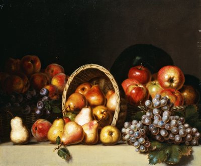 Apples, Pears, Plums and Grapes by Charles Bird King