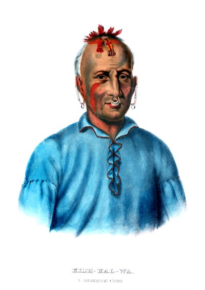 Kishkalwa, a Shawnee Chief by Charles Bird King