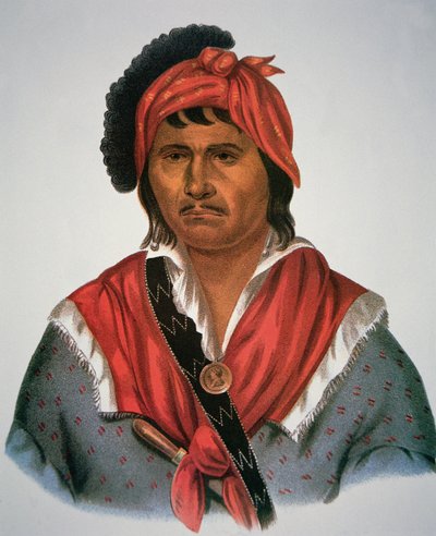 Neamathla Chief by Charles Bird King