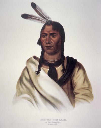 The Sleepy Eye by Charles Bird King