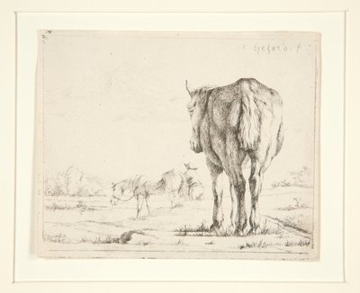 Two Horses Grazing by Charles Echard