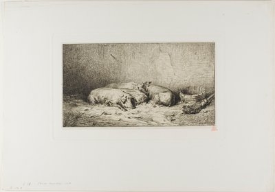 Four Sleeping Pigs by Charles Emile Jacque