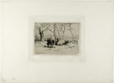Sheep by Charles Emile Jacque