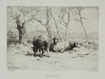 Sheep, 1868 by Charles Emile Jacque