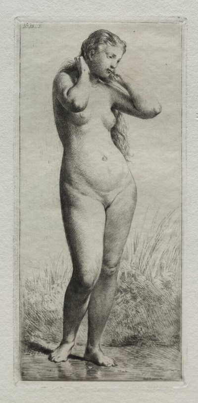 Young Woman Bathing by Charles Emile Jacque