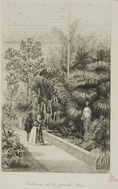 Interior of the Large Greenhouse by Charles Francois Daubigny
