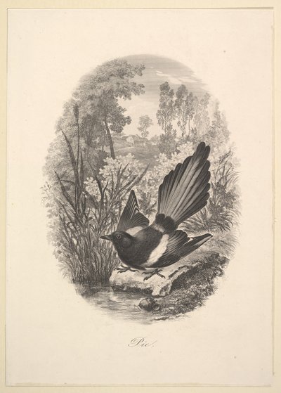 Magpie, 1843 by Charles Francois Daubigny