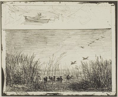 Marsh with Ducks by Charles Francois Daubigny