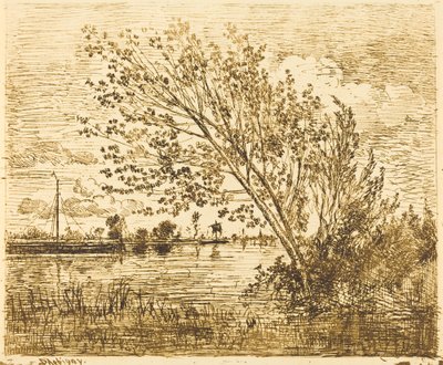 Stand of Alders by Charles Francois Daubigny
