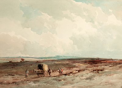 On Ashdown Forest Reserve by Charles Harrington