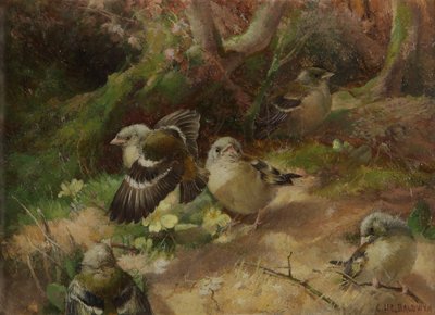 In Happy Woodland by Charles Henry Clifford Baldwyn