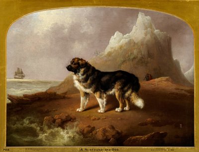A Newfoundland Dog by Charles Henry Schwanfelder