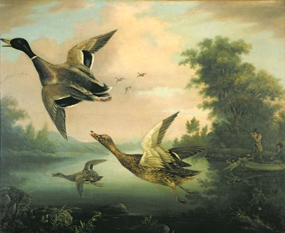 Duck Shooting by Charles Henry Schwanfelder