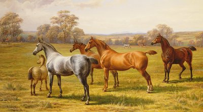 Horses and Foal in a Field by Charles Jones