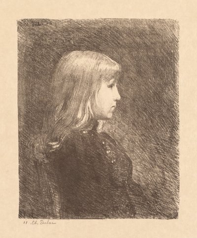 Young Lady, 1892 by Charles Marie Dulac