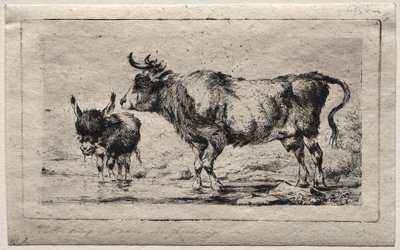 Cow and Ass by Charles Meryon