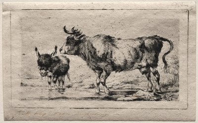Cow and Ass by Charles Meryon