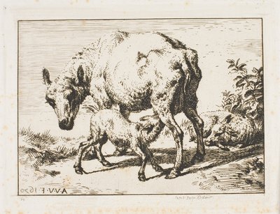 The Ewe with Two Lambs by Charles Meryon