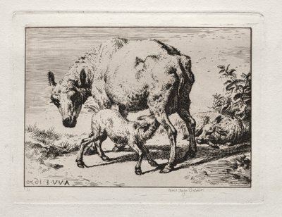 The Ewe with Two Lambs by Charles Meryon