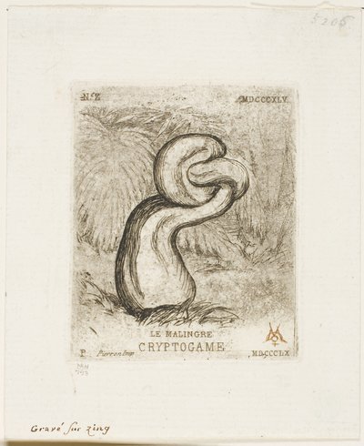 The Sickly Cryptogam by Charles Meryon