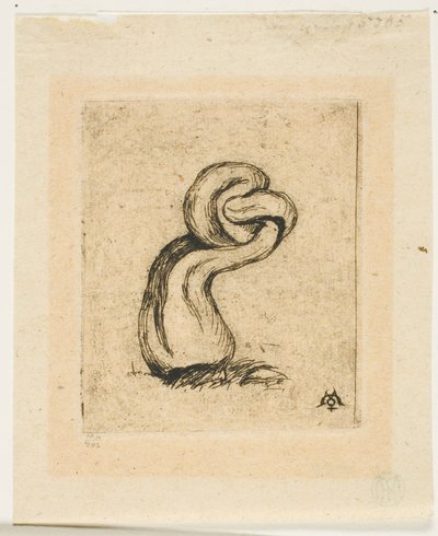 The Sickly Cryptogam by Charles Meryon