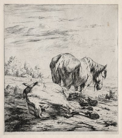 The Two Horses, 1850 by Charles Meryon