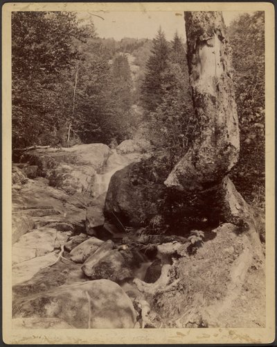 Cascading Stream by Charles P. Hibbard