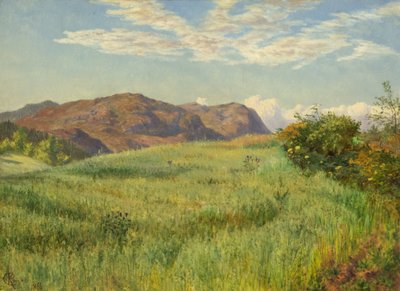 A Highland Oatfield by Charles Parsons Knight