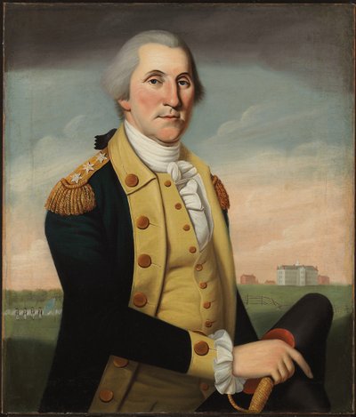George Washington at Princeton by Charles Peale Polk