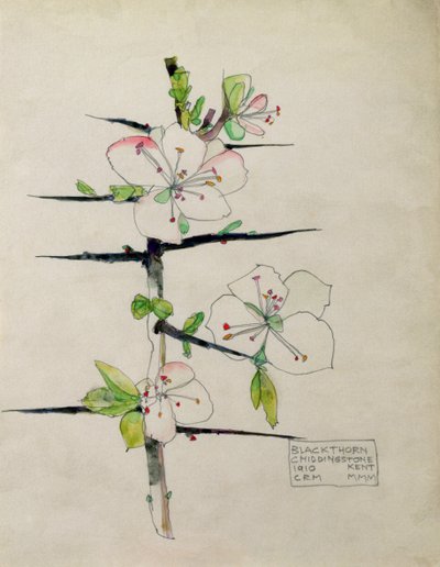 Blackthorn, Chiddingstone, Kent by Charles Rennie Mackintosh