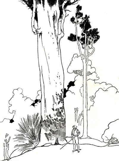 A Kauri Tree by Charles Robinson