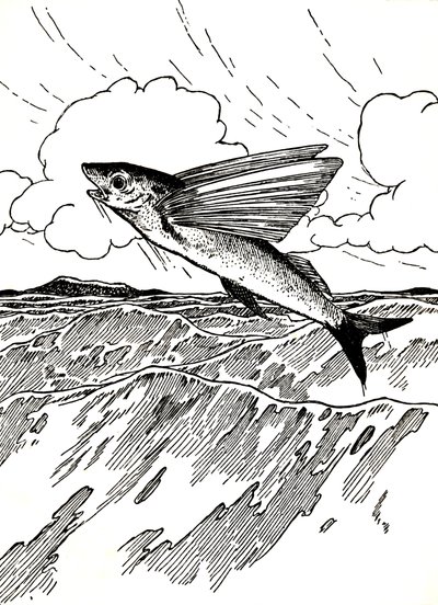 The Flying Fish by Charles Robinson