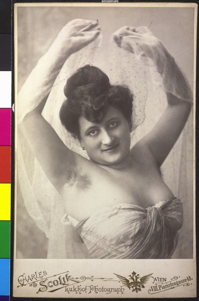 Portrait of a Lady by Charles Scolik