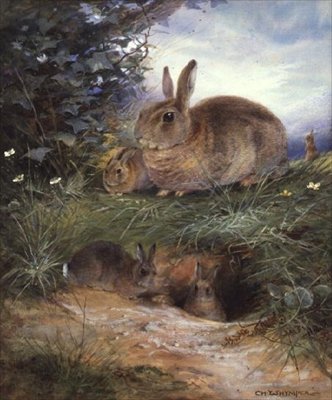 Rabbits by a Burrow by Charles Whymper