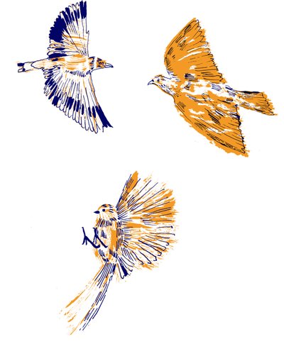 Birds by Charlotte Orr