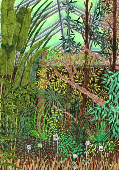 Botanic Garden, 2017 by Charlotte Orr